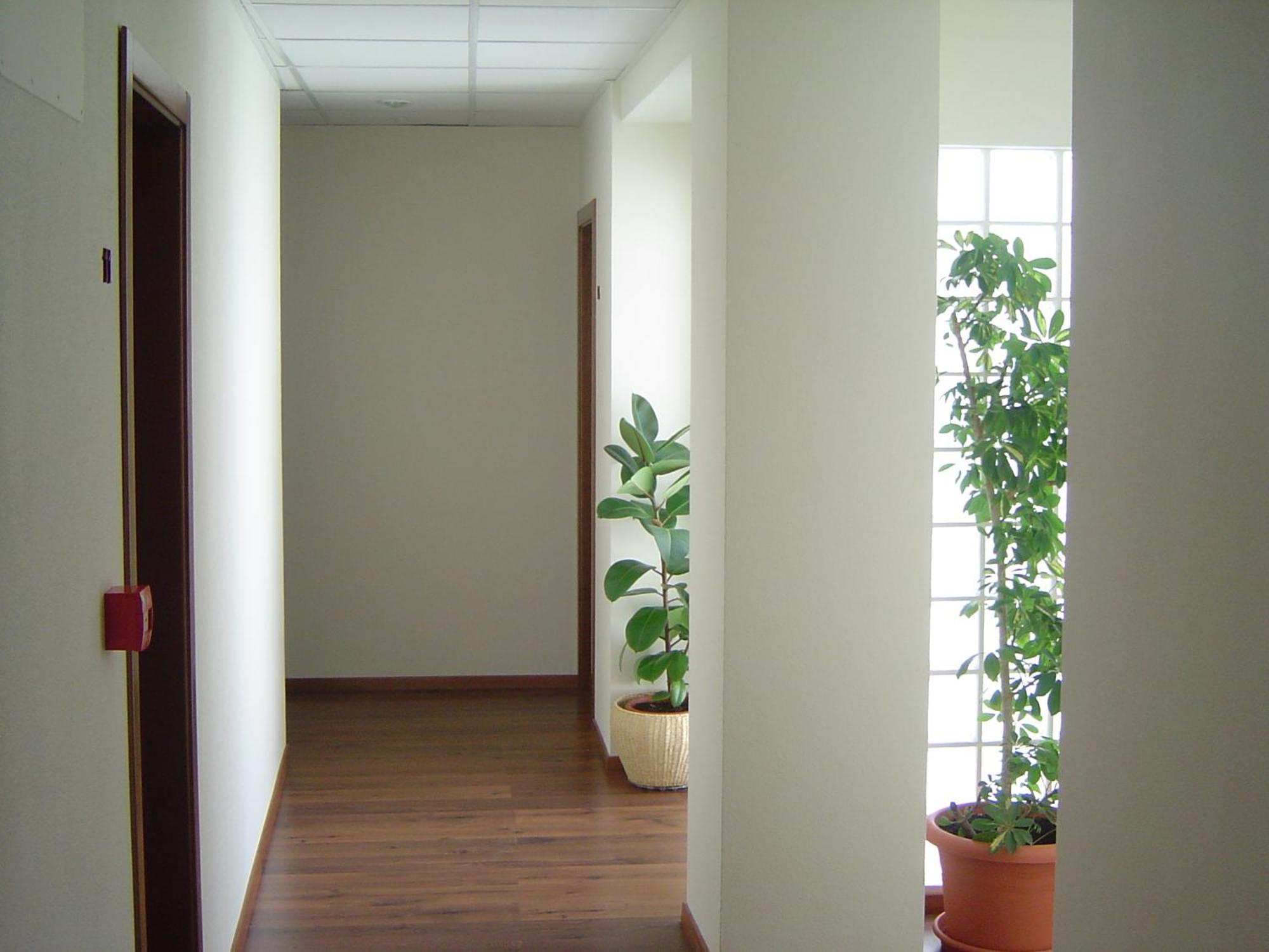 Hostal El Estudio Almansa Exterior foto