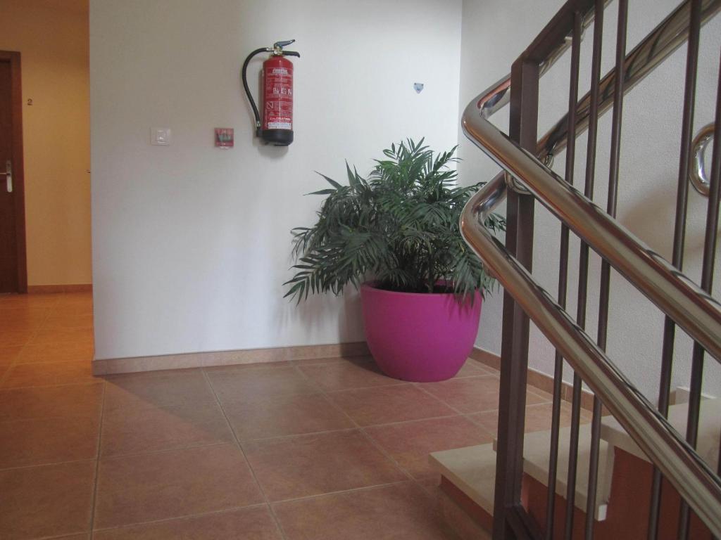 Hostal El Estudio Almansa Exterior foto